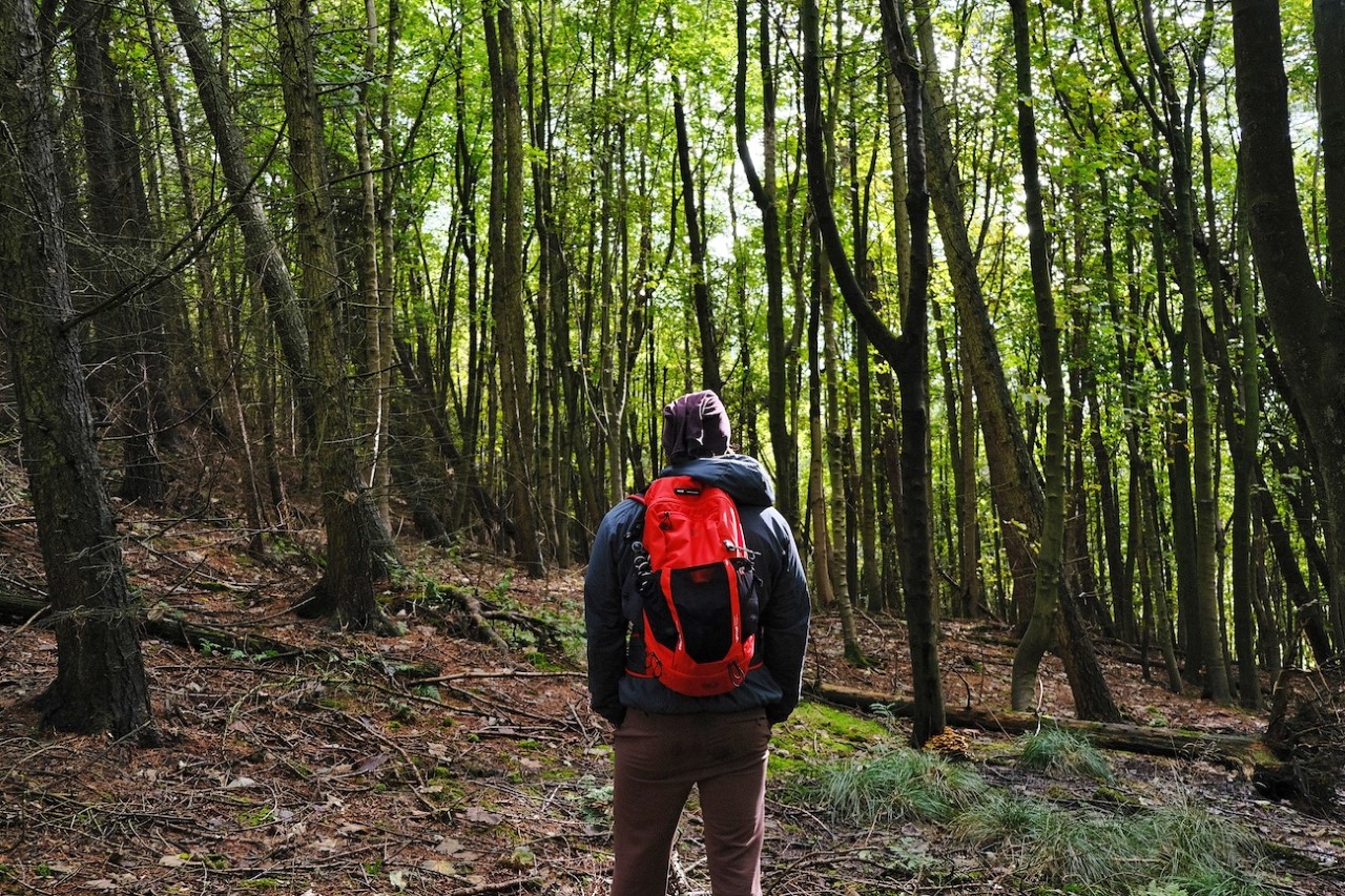 Josh stands with his back to the camera, wearing a bright red backpack. He is surrounded by trees and pale green light shines through the leaves.